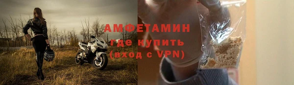 прущие грибы Балахна