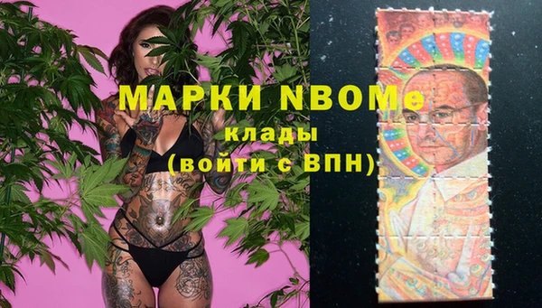 индика Белоозёрский