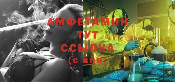 индика Белоозёрский