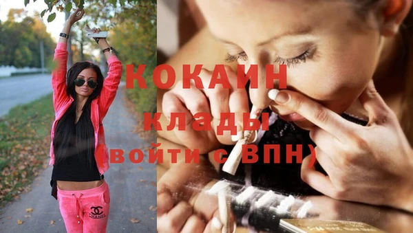 индика Белоозёрский