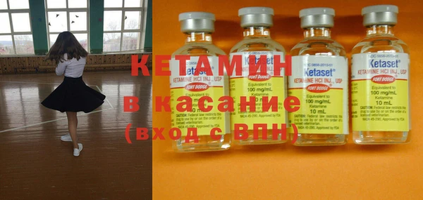 прущие грибы Балахна
