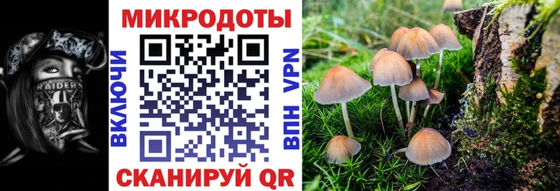 Псилоцибиновые грибы MAGIC MUSHROOMS  где можно купить наркотик  Олёкминск 